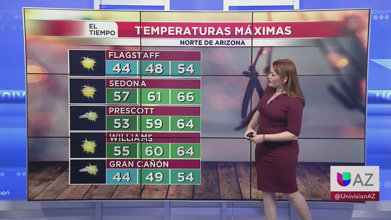 Jueves soleado en Arizona