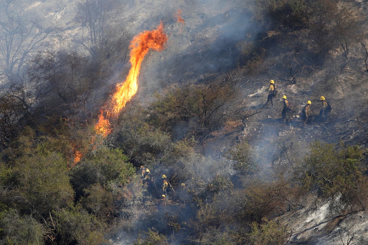 <b>Laura Deleon:</b> "Yo les diría que siembre están en mi corazón y orando por cada uno de ellos para que Dios los proteja en sus labores a estos grandes hombres que no hay precio por todo lo que hacen. Bendiciones a mis héroes favoritos, Dios me los bendiga".
<br>