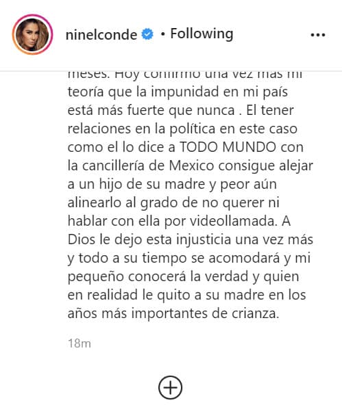 "Hoy confirmo una vez más mi teoría que la impunidad en mi país está más fuerte que nunca. El tener 
<b><a href="https://www.univision.com/famosos/ninel-conde-borra-mensaje-y-fotos-con-las-que-denuncio-a-giovanni-medina-de-usar-influencias-para-quitarle-a-su-hijo-fotos" target="_blank">relaciones en la política</a> </b>en este caso como él lo dice a todo mundo con la Cancillería de México consigue alejar a un hijo de su madre y peor aún alinearlo al grado de no querer ni hablar con ella por videollamada".
<br>