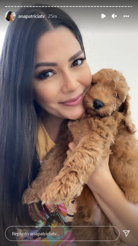 La feliz pareja posó junto a su cachorro y le dio la bienvenida con un tierno mensaje.
<br>