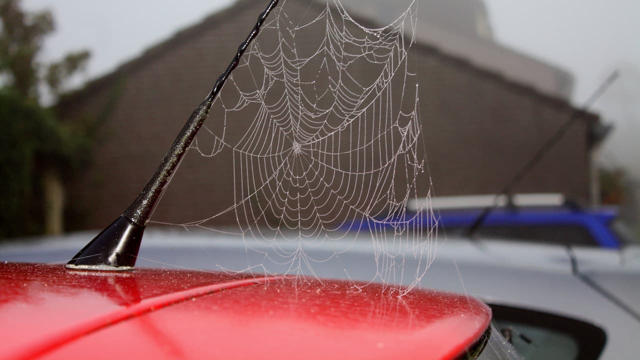 El sitio web de temas automotrices
<b><a href="https://www.iseecars.com/slowest-selling-cars-2018-study" target="_blank"> iSeeCars.com</a></b> determinó que el tiempo promedio que un carro usado permanece en el concesionario antes de ser vendido es de 
<b>46.6 días</b> El estudio, que analizó
<b> 4 millones de transacciones </b>realizadas entre 
<b>enero y julio de 2018</b> por autos usados de entre 
<b>1 y 3 años de edad</b>, encontró que los 10 autos que más tiempo tardan en venderse pueden exceder ese tiempo hasta en un 44.8%, convirtiéndose en excelentes oportunidades de negociación para los compradores ya que a los concesionarios les interesa vender estos vehículos lo antes posible.
<br>
<br>Estos son los carros usados que más tiempo tardan en venderse en Estados Unidos.