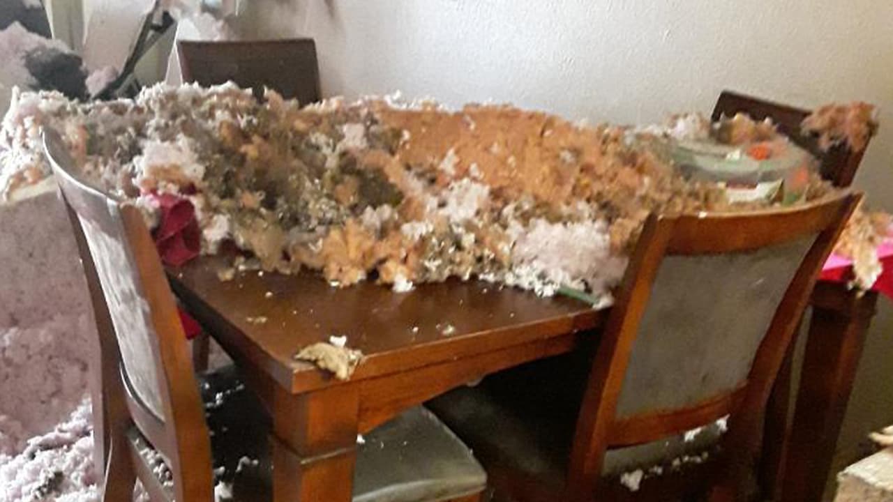 Hasta el momento han recibido ayuda de la Cruz Roja Americana, sin embargo, los recursos recibidos se han agotado.