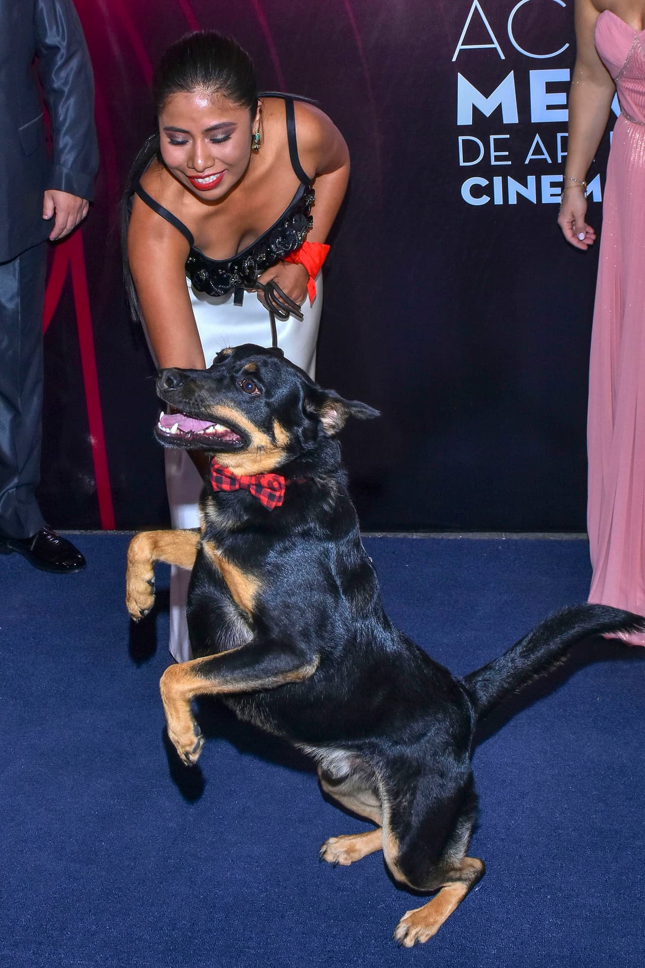 Sin embargo, a lo largo de este tiempo, Yalitza Aparicio ha sabido sortear ese tipo de cuestionamientos y en una reciente entrevista que se transmitió en el programa mexicano 
<b><a href="https://twitter.com/deprimeramano/status/1146218580469374976" target="_blank">De Primera Mano</a></b>, compartió la particular visión con la que ella maneja las críticas negativas.