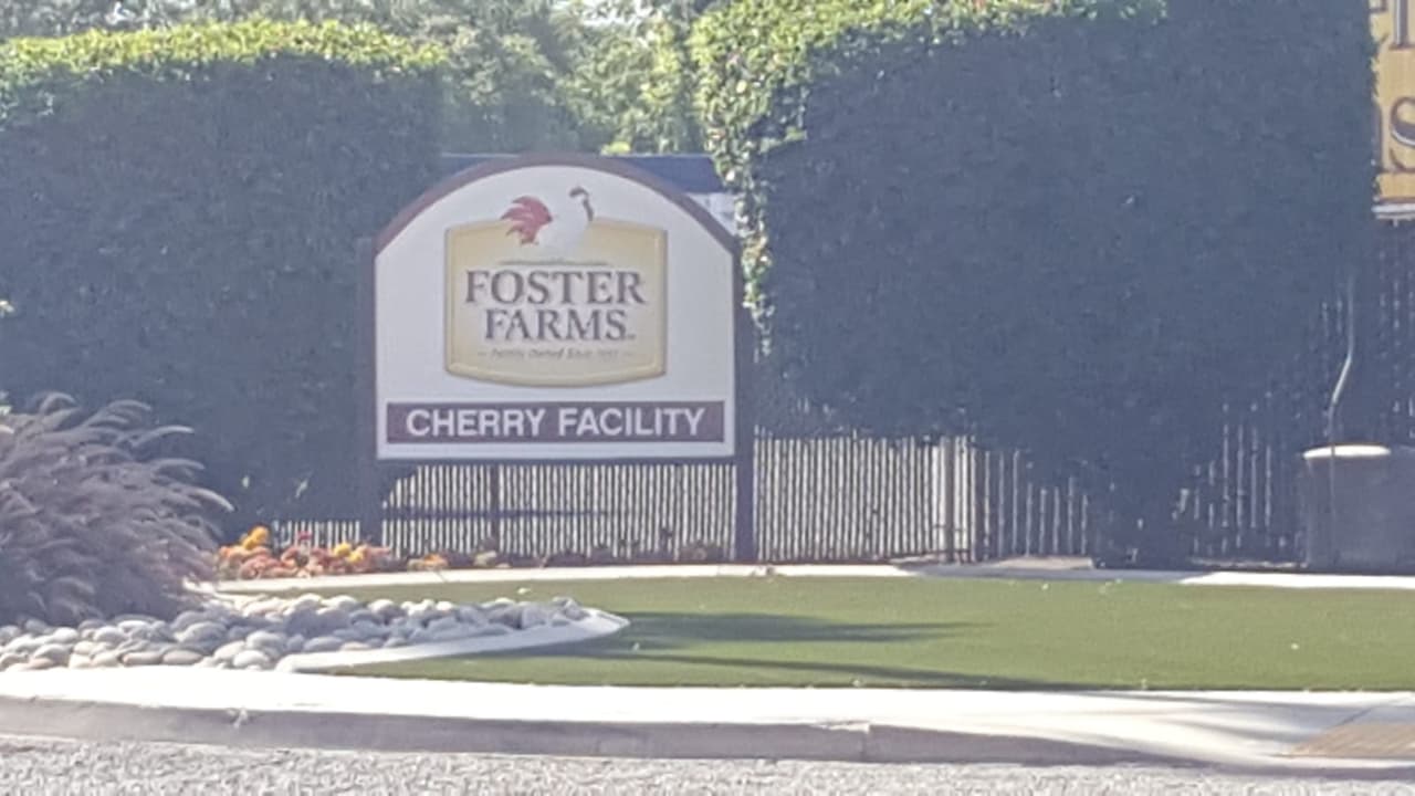 Accidente industrial mata a trabajador del Valle