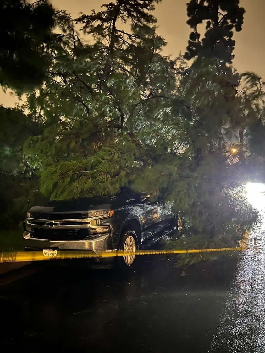 Un enorme árbol cayó sobre un auto y una casa en una calle en la cuadra 200 de North Hillcrest Boulevard en Inglewood.
<br>