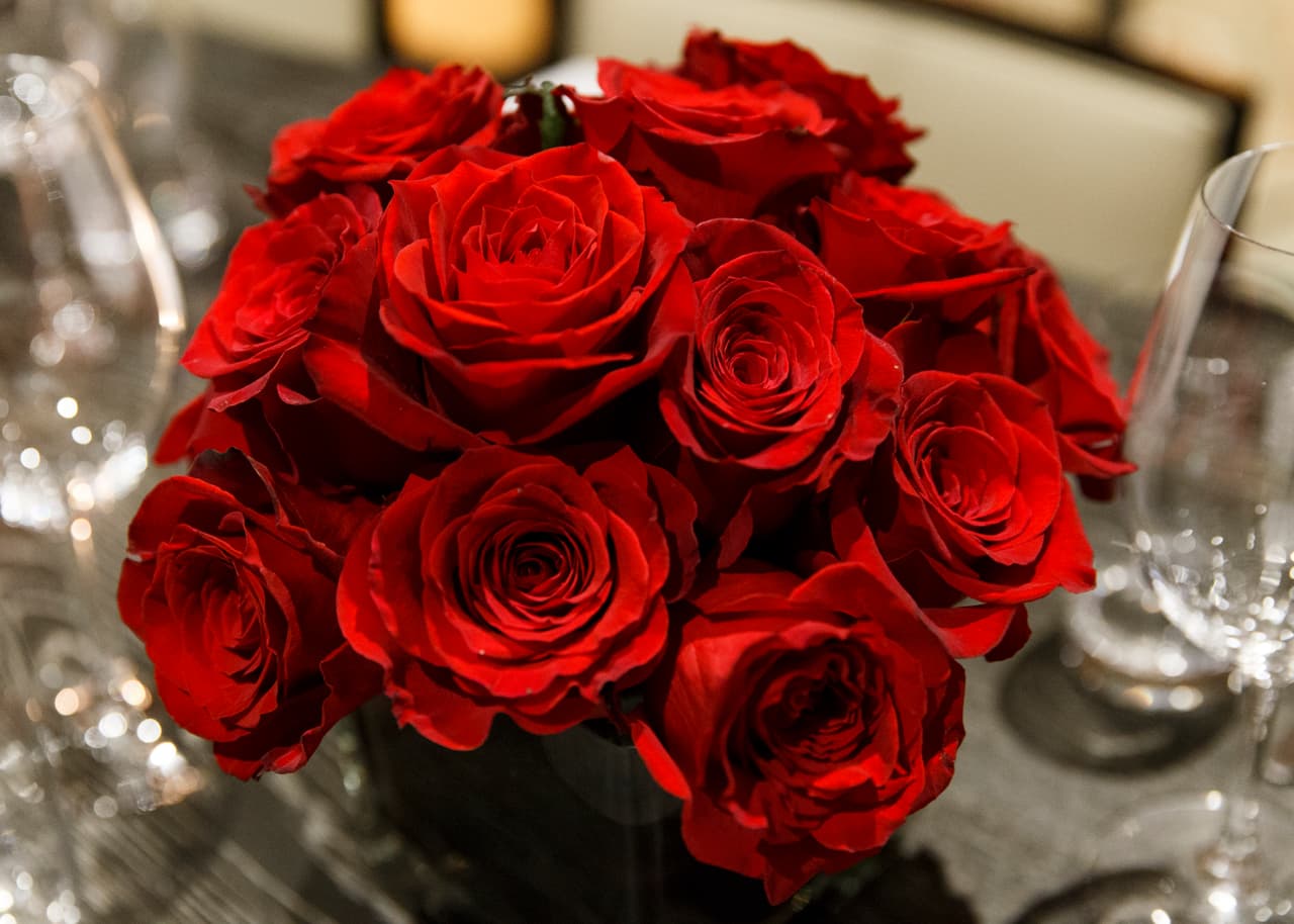 Rojos. Para darle un toque de color vibrante a tus arreglos blancos, el portal de bodas The Knot, recomienda elegir flores rojas, como ‘roses’, ‘anemones’, ‘amaryllis’, ‘gloriosa lilies’, ‘calla lilies’, y ‘cymbidium orchids’.