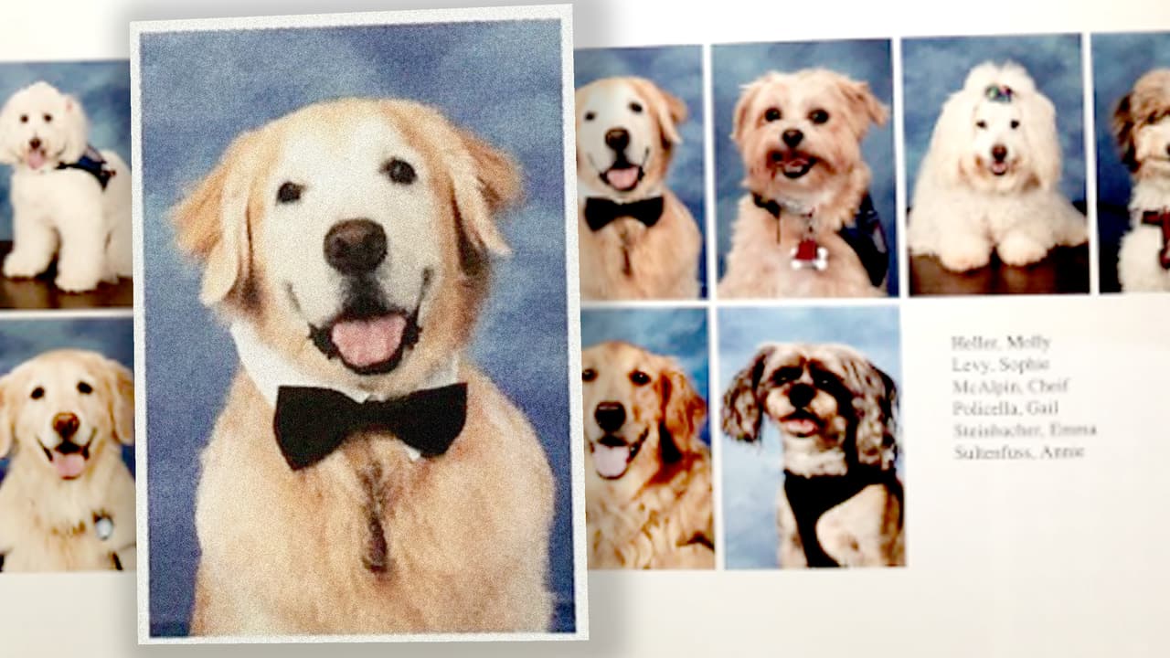 Incluyeron 14 perros de terapia en el anuario 2019 de la escuela en donde ocurrió la masacre de Parkland