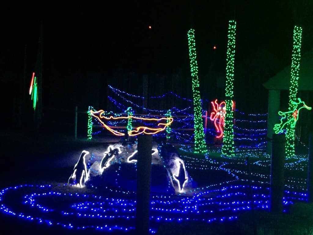 Estos delfines cambian de color al ritmo de la música
