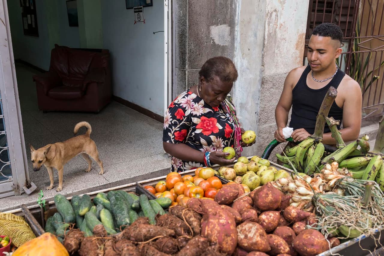 Los carretilleros lamentan el trato de los inspectores