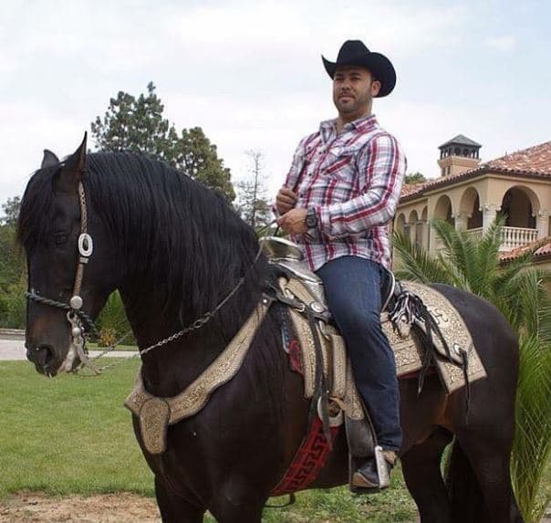 Siente una inclinación especial por los caballos.