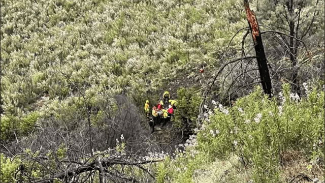 Un auto en el que viajaba un padre y su hijo se salió de la carretera 49 entre la Coulterville y Bagby, en Mariposa.