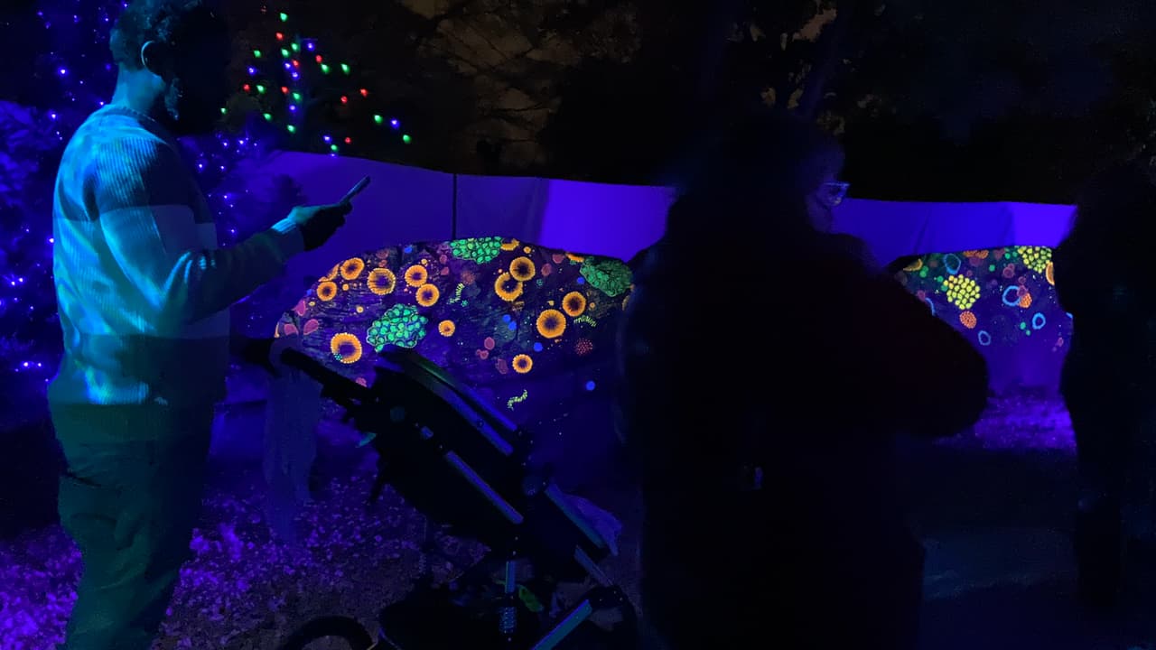 Hay una sección completa dedicada al mundo submarino, con arrecifes de coral ultravioleta.