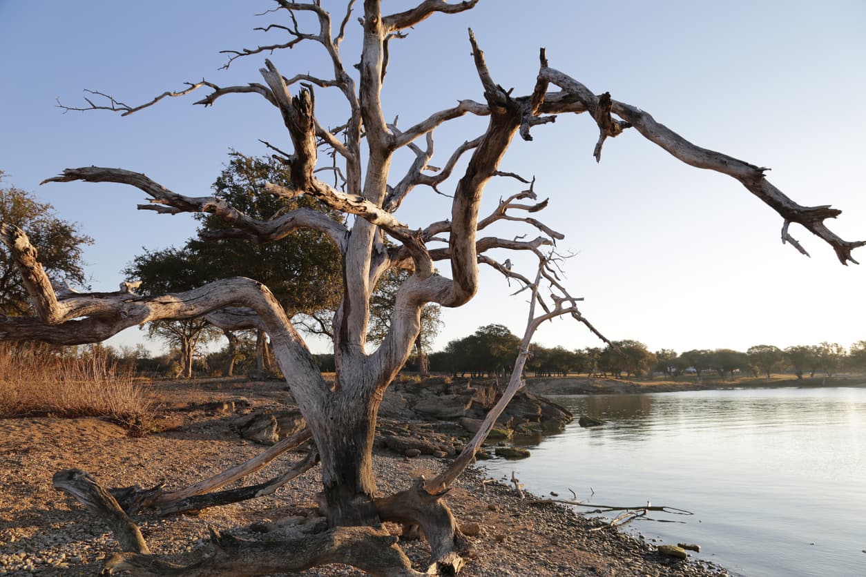 <b>8. Waco, Texas. </b>La ciudad alcanzó este pasado sábado los 104 grados (40 celsius). Nunca en la historia había llegado a esta temperatura tan temprano en el año.