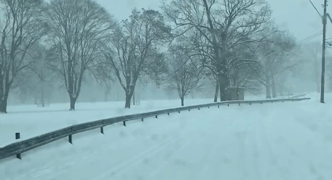 El Jordan Park en Allentown perdió el calor que año tras año recibe durante el desfile puertorriqueño.