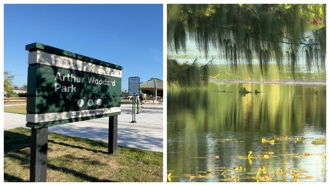 Tragedia en Miami-Dade: hermanos gemelos mueren cuando uno intenta salvar al otro de ahogarse en un lago