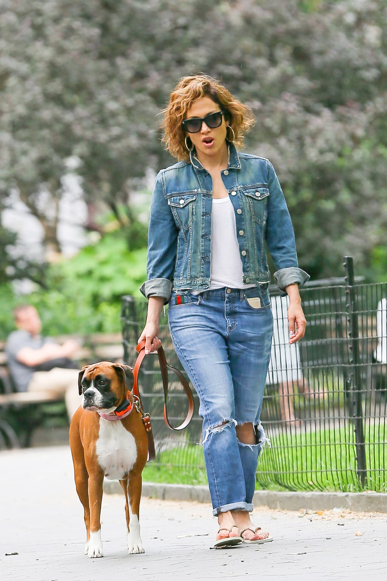 Ashley decía que el ataque del perro le había ocasionado fracturas en algunos huesos. A pesar de que el perro no era de JLo, ¡ella también salió afectada!