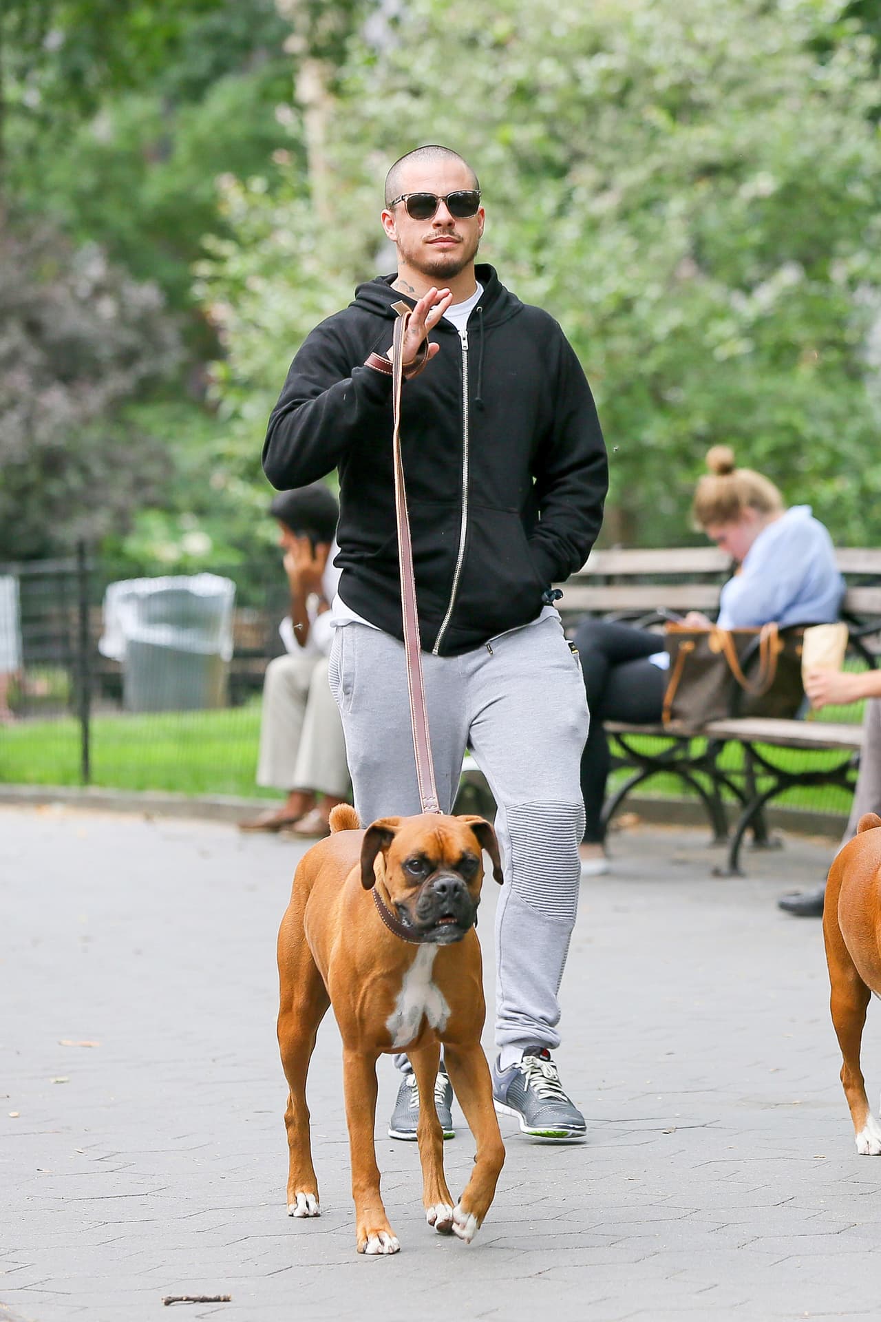 En enero Casper fue demandado porque uno de los animales mordió a una vecina de JLo en diciembre de 2014.