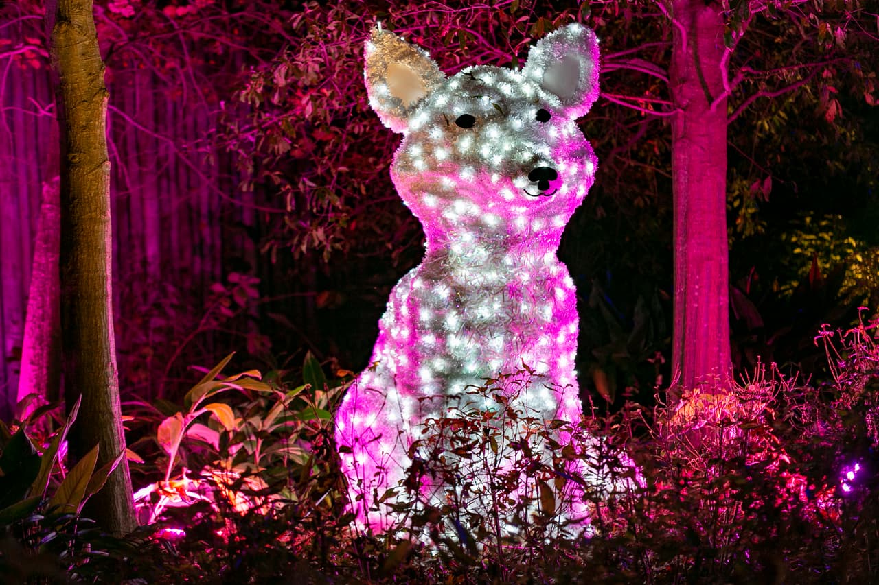 El Zoológico de Houston es una tradición para grandes y chicos.