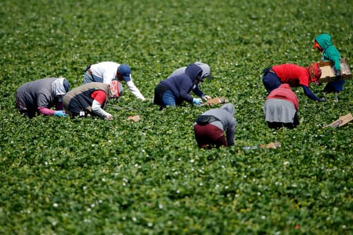 El director de salud pública del condado, Rigoberto Vargas, dijo que hasta el viernes 188 de los 216 trabajadores dieron positivo en Villa Las Brisas en Oxnard.
