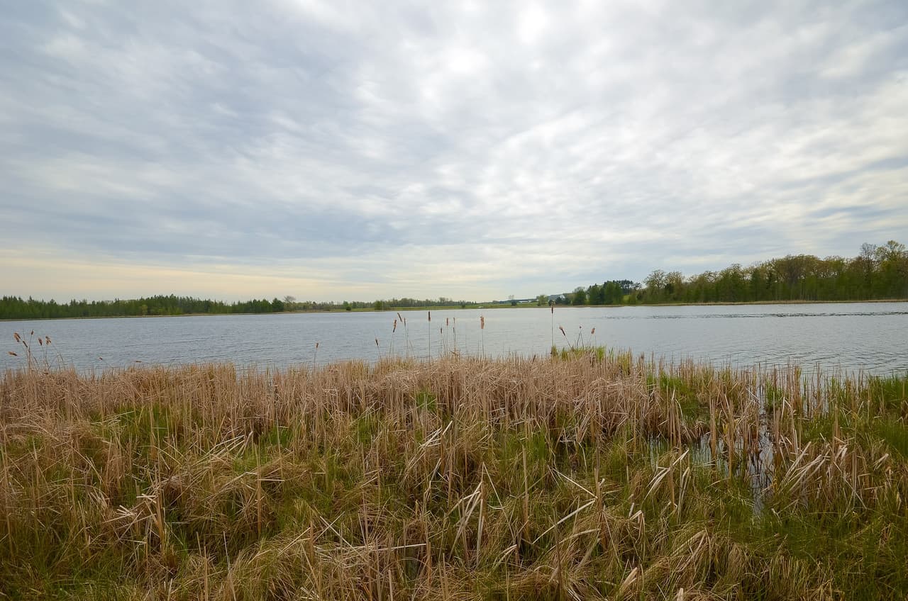 <b>En Wisconsin | el lugar más pobre es Little Round Lake</b>
<br>
<br>🔘 
<b>Ingreso medio de Little Round Lake: </b>$21,985
<br>🔘 
<b>Ingreso medio de Wisconsin: </b>$61,747
<br>🔘 
<b>Adultos con educación universitaria: </b>4.9%
<br>🔘 
<b>Población que vive en la pobreza: </b>55.7%
<br>🔘 
<b>Valor promedio de la propiedad: </b>$80,700