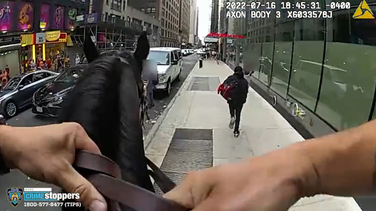 Como en el "viejo oeste": a caballo policía ayuda a capturar a presunto ladrón en Nueva York