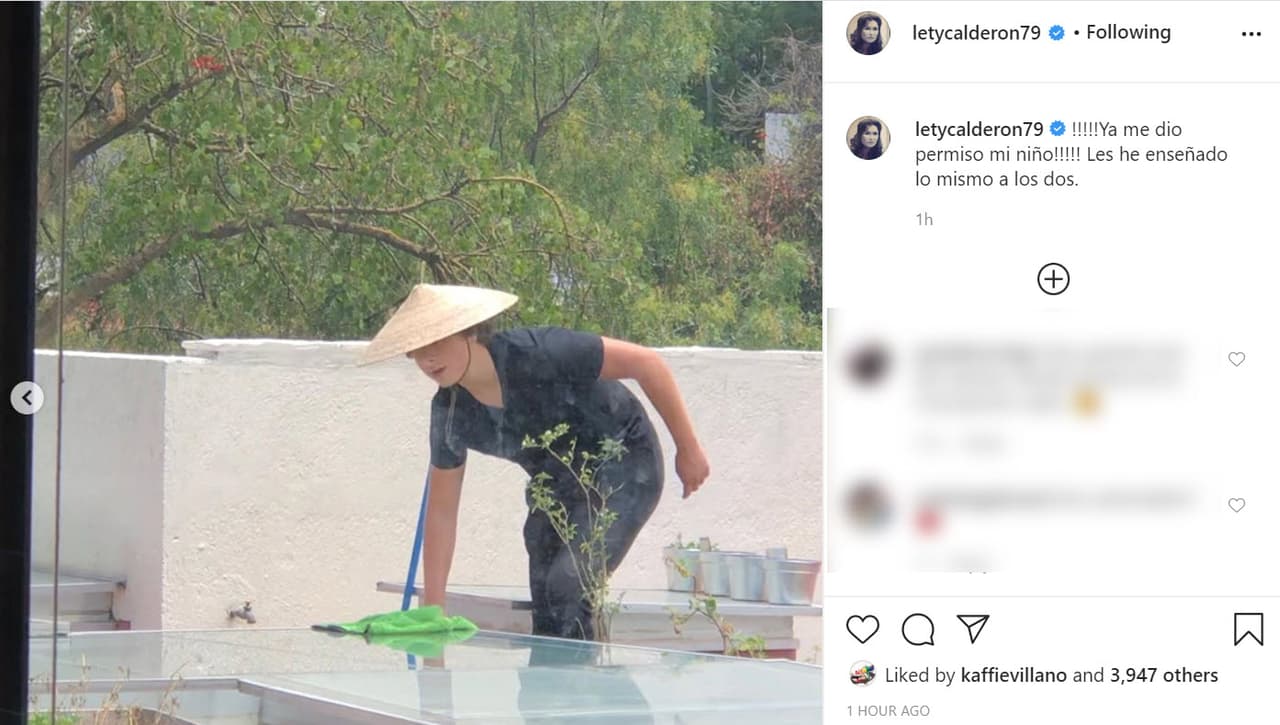 Con una 
<b><a href="https://www.instagram.com/p/CCRHVcYj6zM/" target="_blank">serie de fotos</a></b>, la actriz dio cuenta de las acciones de limpieza que el joven realizó en lo que parece ser el techo o terraza de la casa. 
<br>