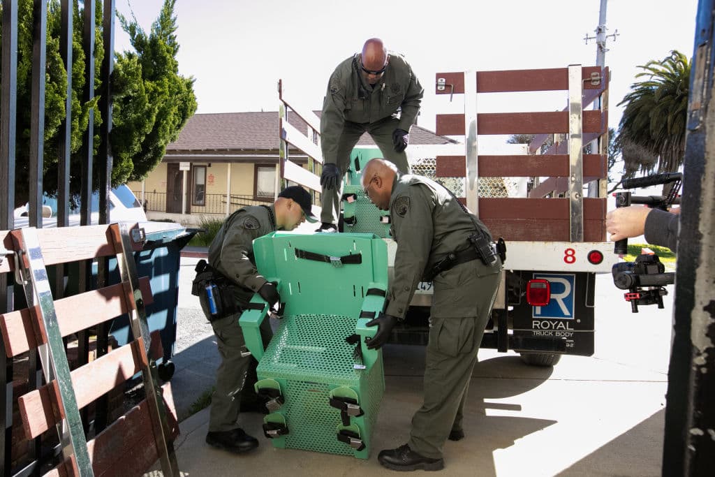 A la fecha unos 25 reos han agotado todos sus recursos legales para evitar enfrentar la cámara de gases o la inyección letal en San Quintín, sin embargo, más de un juez federal ha determinado que ambas prácticas son inconstitucionales y mientras esas demandas continúan en revisión, las ejecuciones se suelen prolongar por años e incluso décadas en medio de un mar de retos legales.