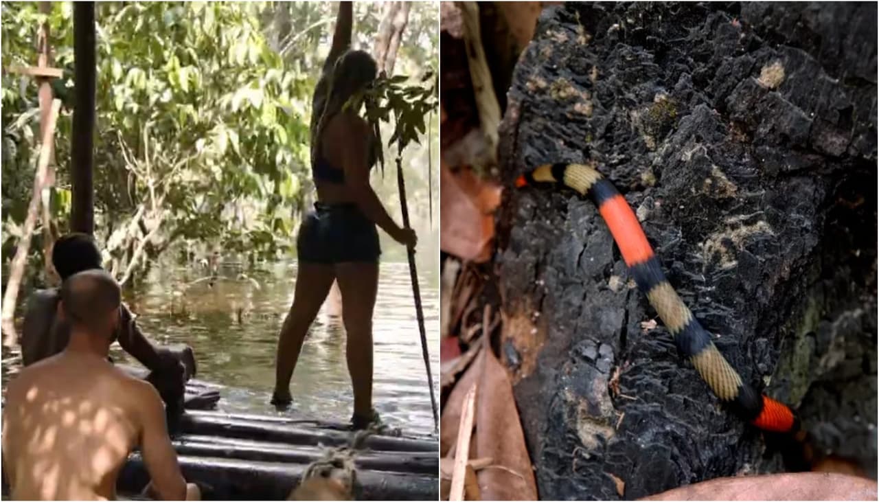 Cobra exótica em rio da Amazônia assusta participantes do "No Limite" e cena viraliza