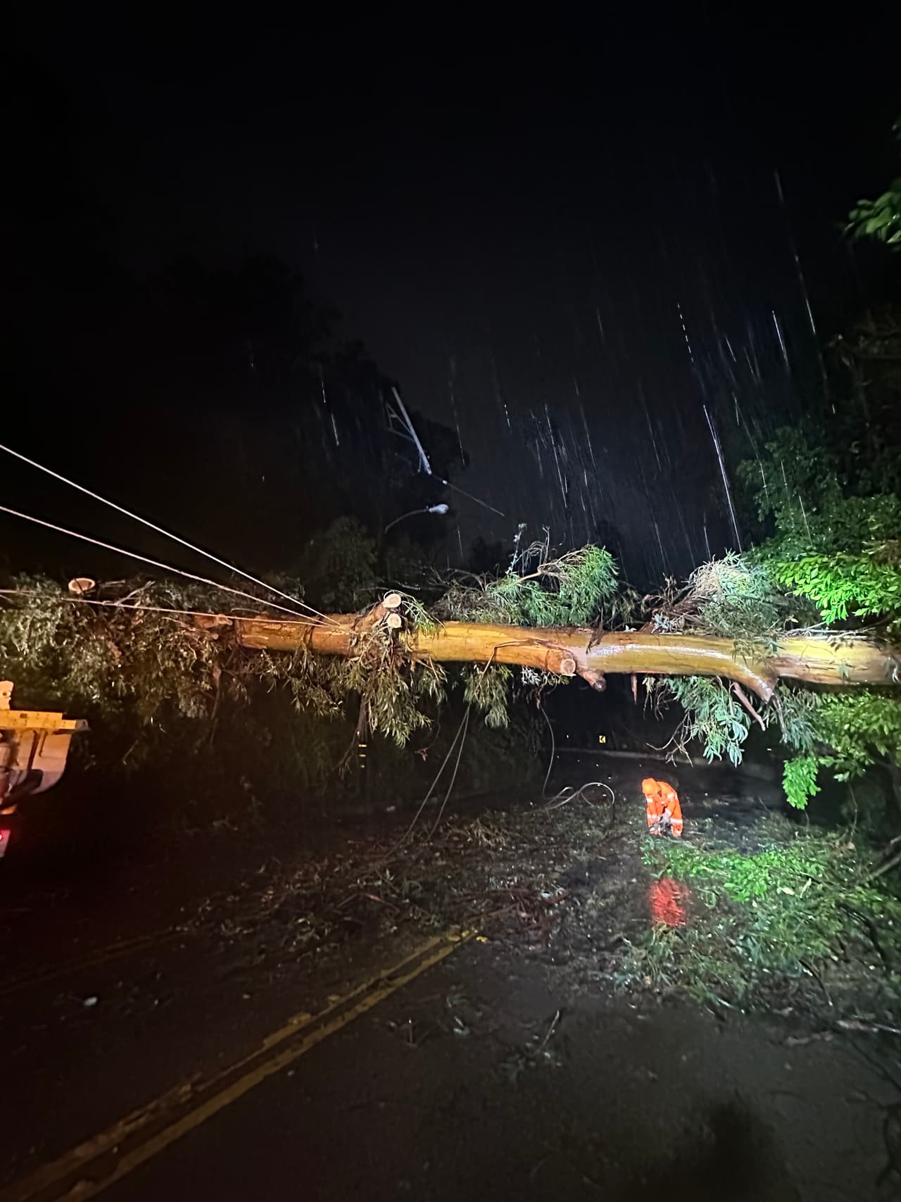 Según LADWP, a 
<b>más de 98,000 clientes se les ha restaurado su energía</b> desde que comenzó la tormenta el pasado viernes; 50.000 de los cuales fueron restaurados en las últimas 24 horas.