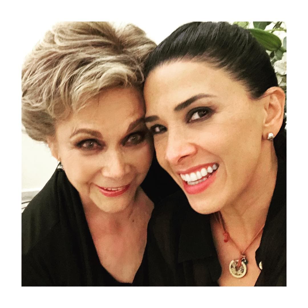 Esta telenovela transmitirá el polémico caso donde una abuela, personaje interpretado por la primera actriz Norma Herrera, luchará por la patria potestad de su nieta, quien fue educada por una pareja gay.