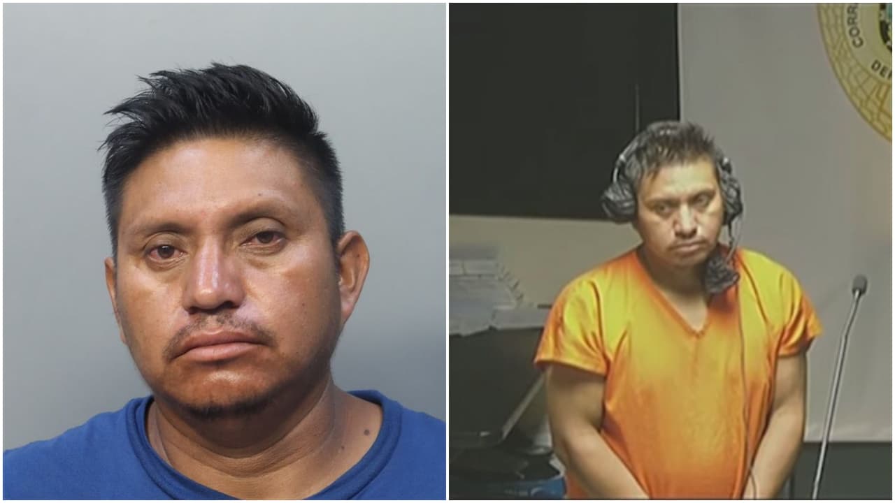 Hombre es acusado de robar aguacates valorados en $1,000 de una plantación de Miami-Dade