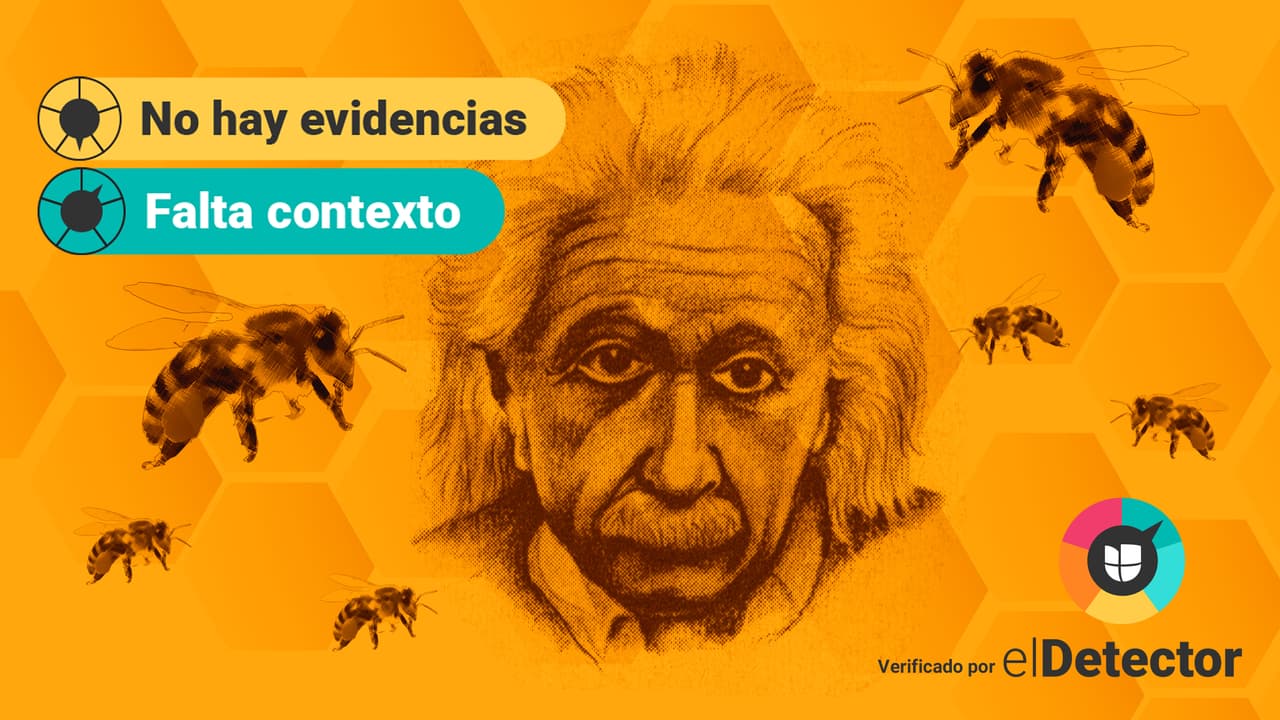 No hay evidencias de que la humanidad se acaba en 4 años si desaparecen las abejas, pero el mundo que conocemos sí cambiaría
