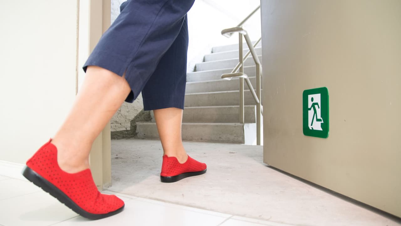 Incluya a sus mascotas en sus planes de emergencia. Recuerde, si usted y su familia necesitan evacuar, su mascota también. Es importante planificar con anticipación para saber qué hoteles que admiten mascotas están en su área y dónde pueden alojarse sus mascotas en una situación de emergencia.