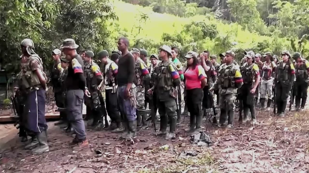 Rescatan a cinco niños y una mujer adulta en selva de Colombia tras huir de la guerrilla