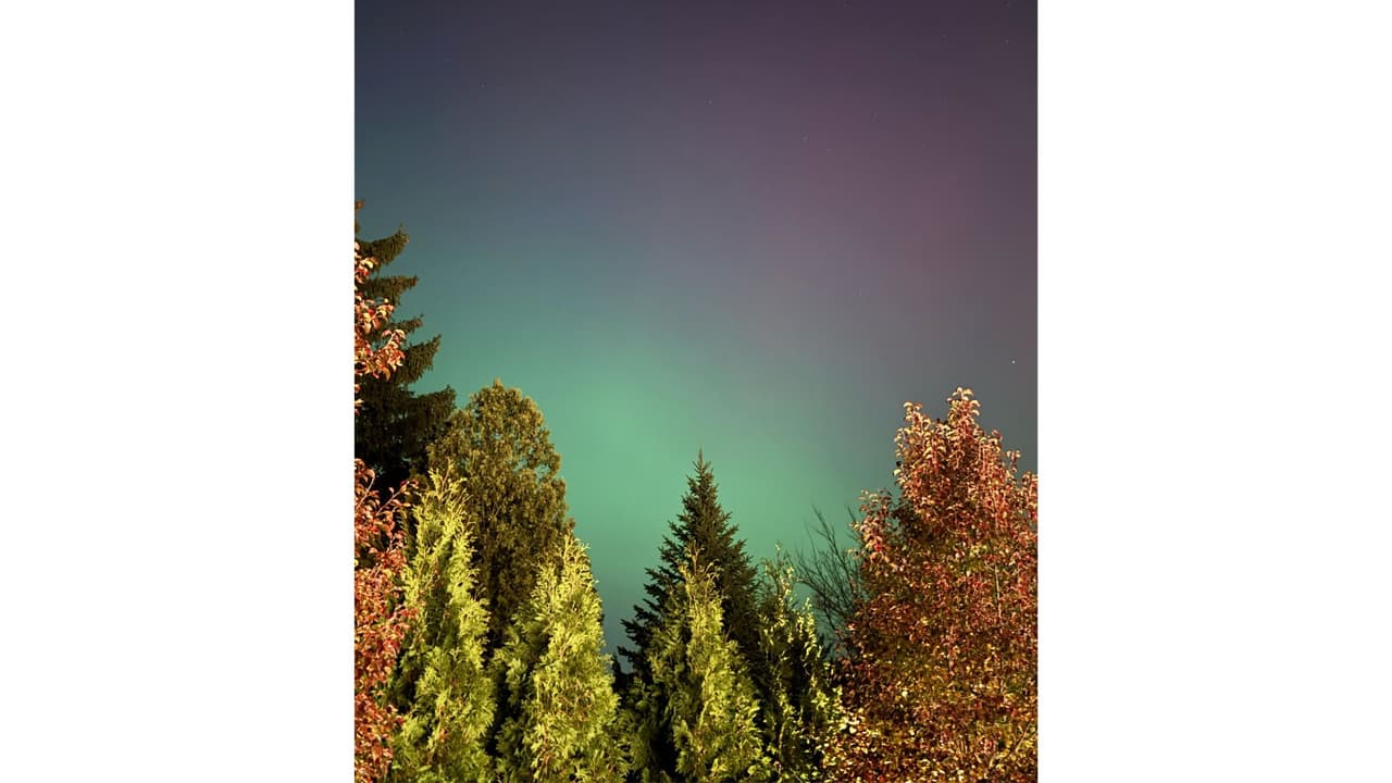 Para tener mejor 
<b>visibilidad de la aurora</b> en lugares alejados de los polos se deben tener ciertas condiciones. Estas 
<b>condiciones son: cielos despejados, estar lejos de las luces de la ciudad y observar entre aproximadamente las 10 p.m. y 2 a.m.</b>, momentos en que la actividad geomagnética suele ser más visible, según Space.com.