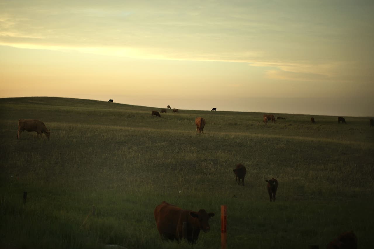 <b>Cheyenne, Wyoming.</b>