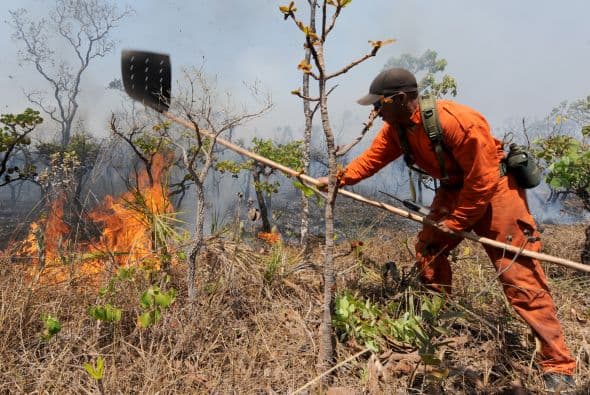 Asimismo, a unos 200 kilómetros al norte de Brasilia, otro incendio devoró esta semana casi 30 mil hectáreas de sabana.