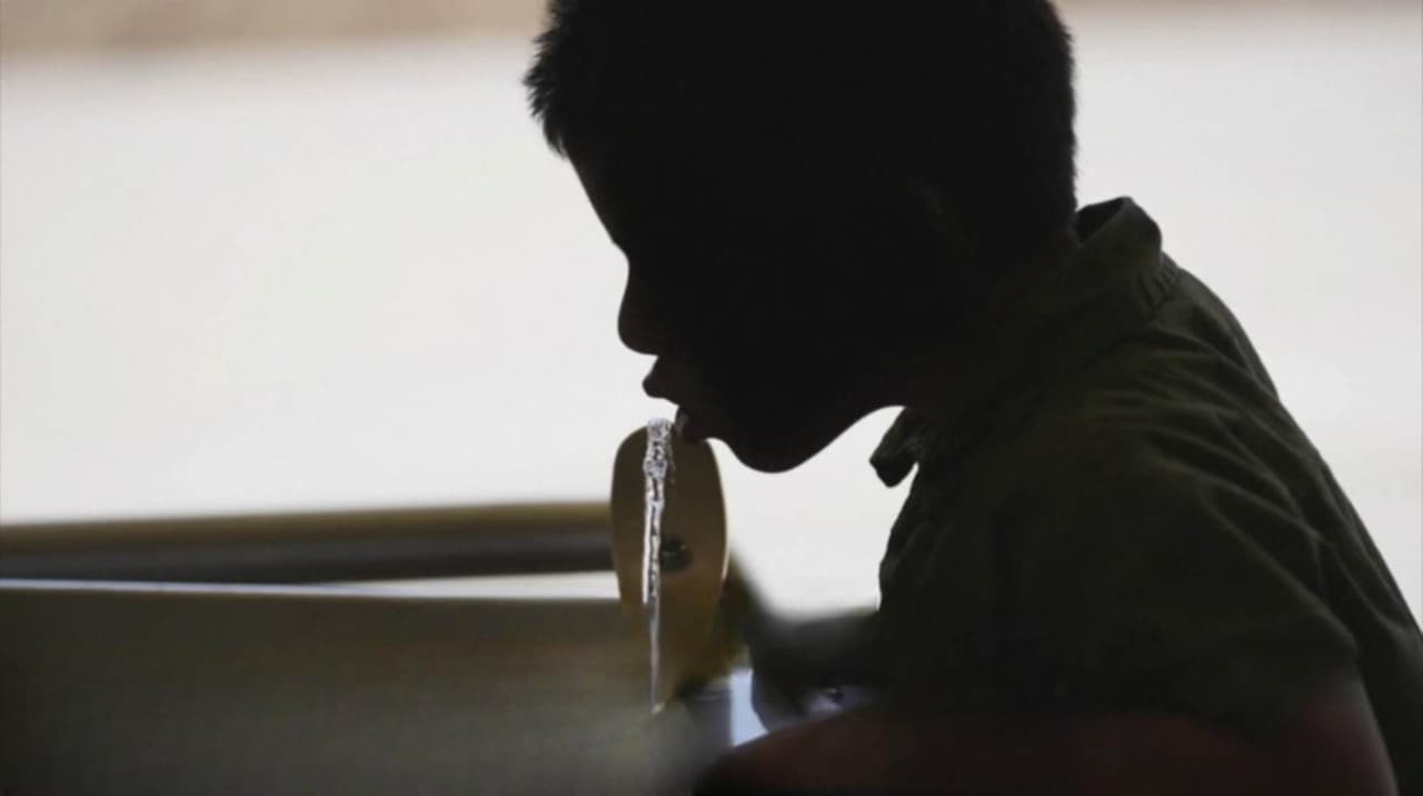 Estudio revela que fluoruro no daña el coeficiente intelectual ni la función cerebral en la infancia