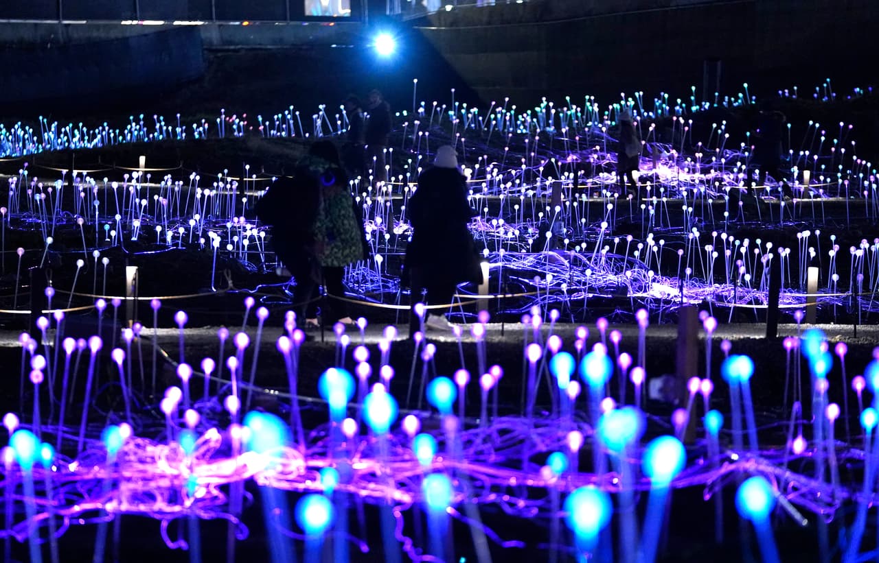 La instalación se podrá apreciar hasta diciembre de 2024.
<br>