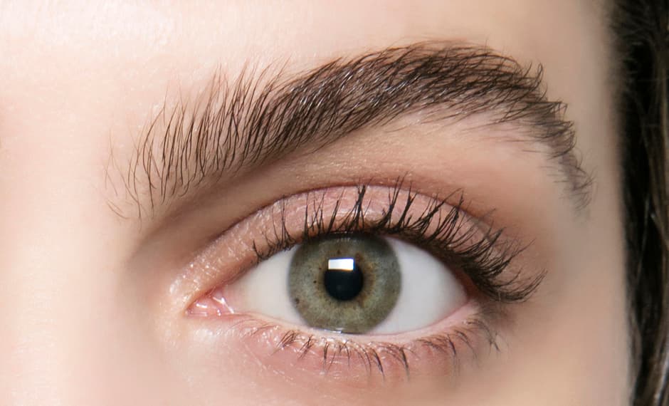 Quién es Anastasia y por qué son tan famosos sus productos para las cejas