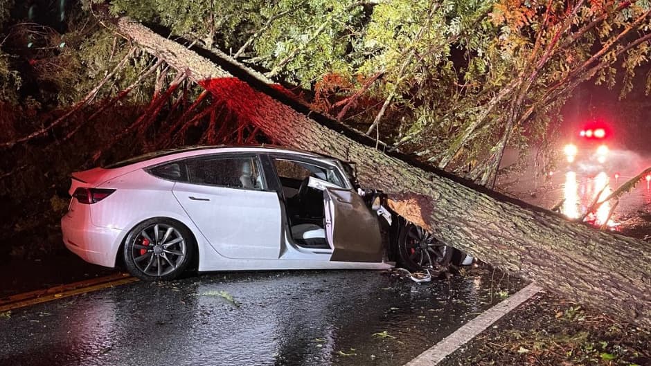 Río atmosférico deja severas inundaciones y árboles caídos a su paso por el Área de la Bahía