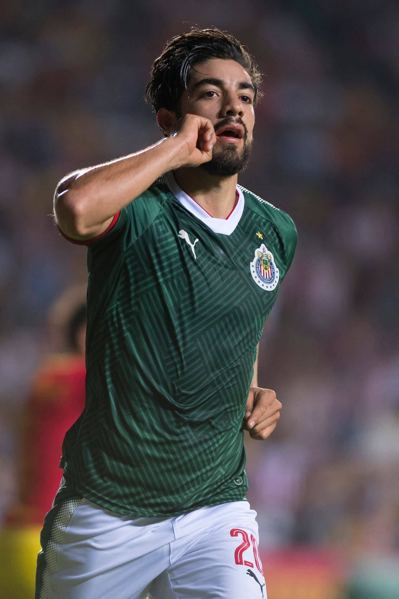 12 Chivas - 15 puntos: 3 ganados, 6 empates y 4 derrota con 14 goles a favor y 17 en contra.