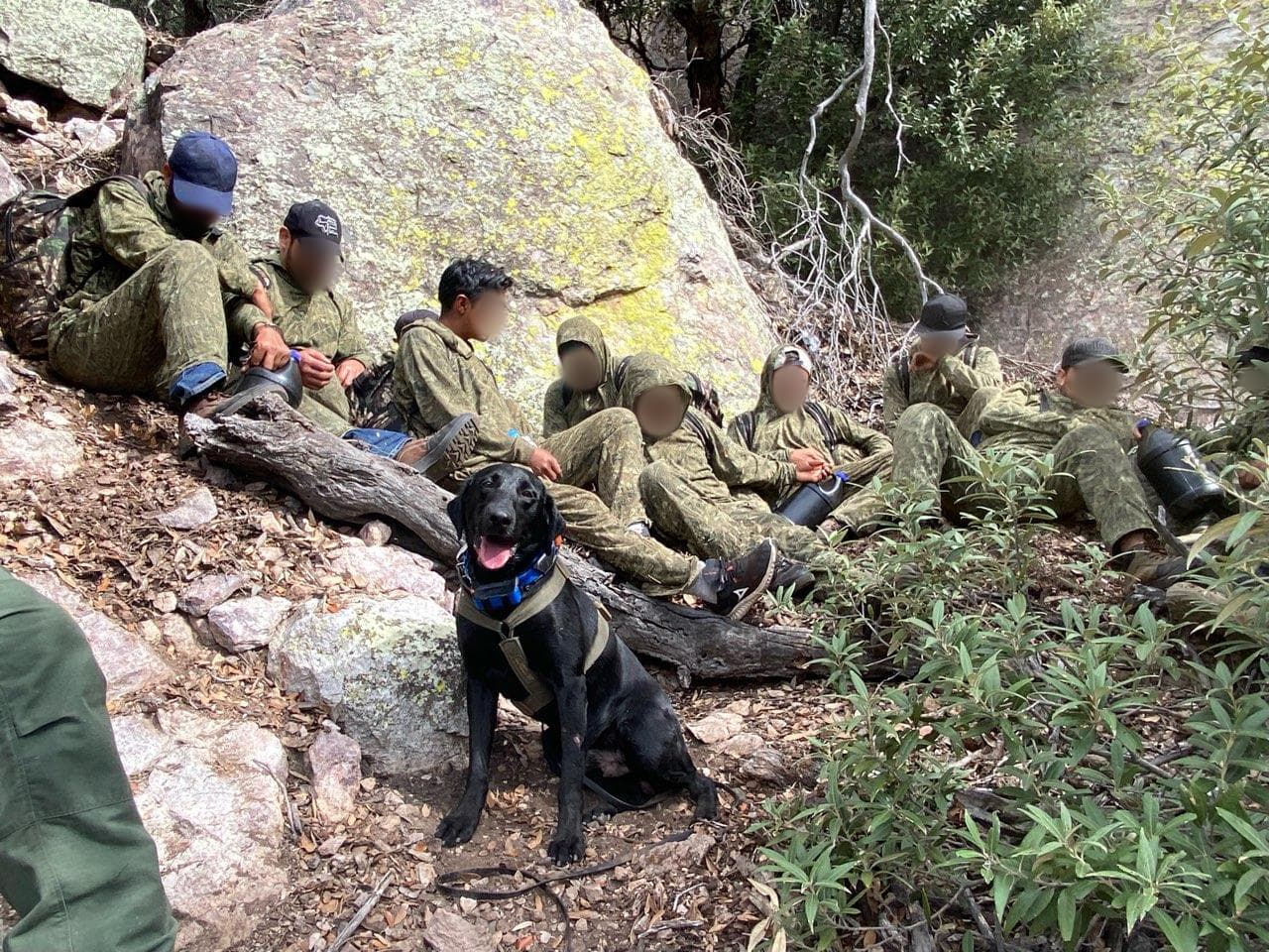 Con la ayuda de un perro entrenado los agentes de la estación de Sonoita detuvieron a 14 inmigrantes mexicanos que cruzaron la frontera vestidos con ropa de camuflaje y se metieron por un terreno accidentado para esconderse. Los agentes rastrearon al grupo a lo largo de cuatro millas en las montañas de la Patagonia.