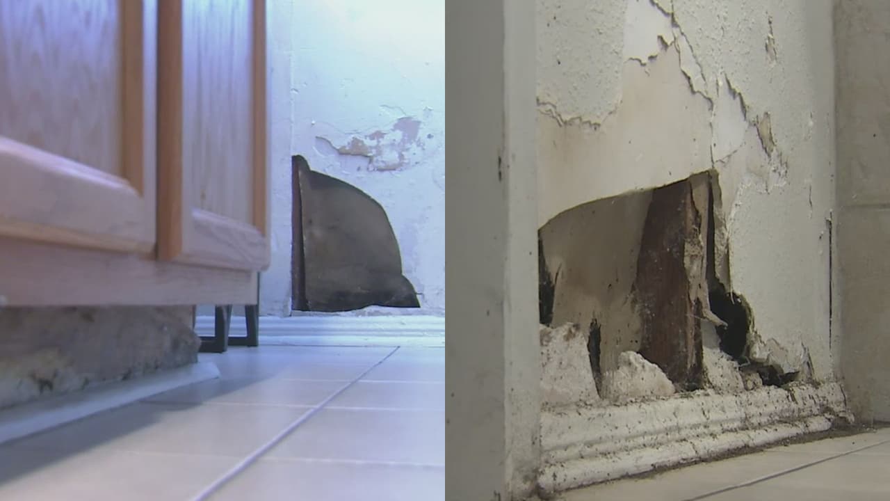 “Las cucarachas se enredan en el cabello”: denuncian condiciones deplorables en apartamentos de Compton