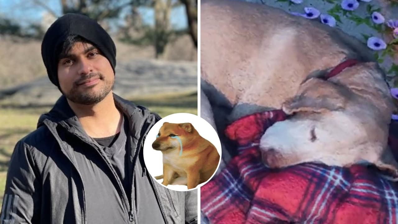 Gamer "revive" a su perrito muerto gracias a la realidad virtual y divide opiniones entre internautas