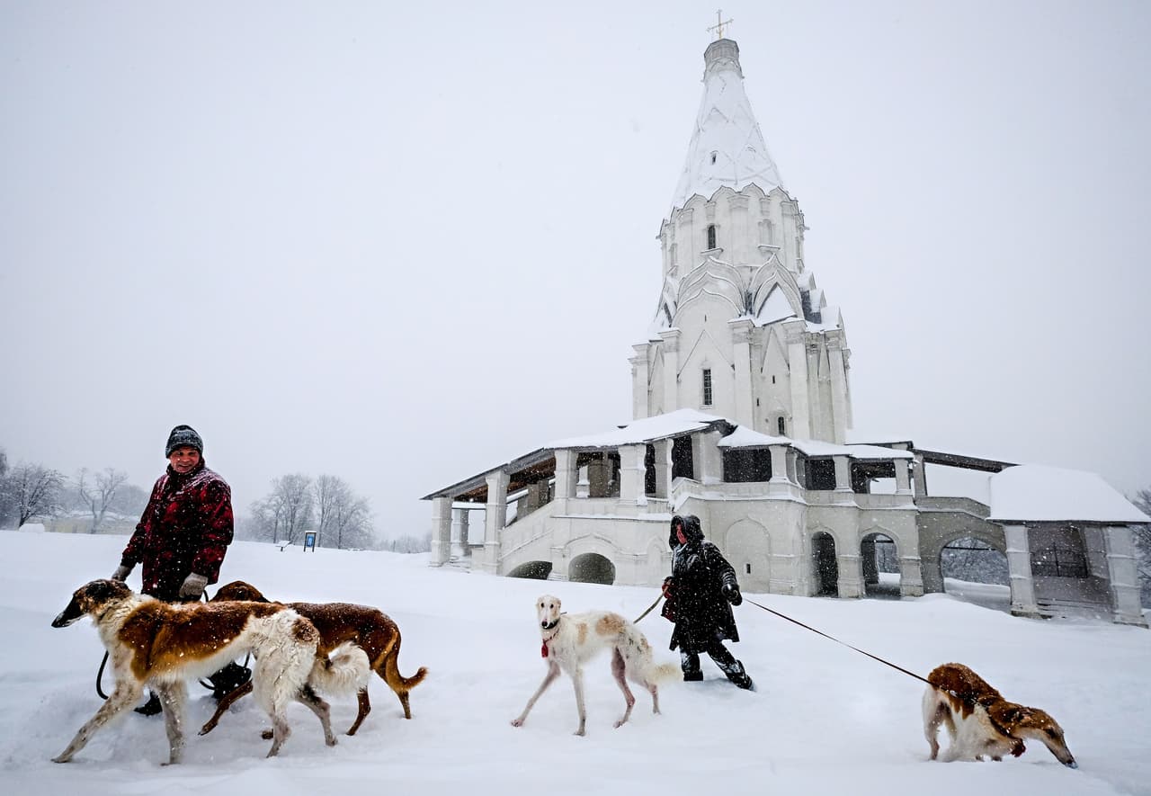 A pesar de las temperaturas extremas, hay quienes salieron a pasear a sus perros en medio de la nevada. "Si trabajamos según lo programado, nos llevará nueve días eliminar toda la nieve", dijo Biryukov.