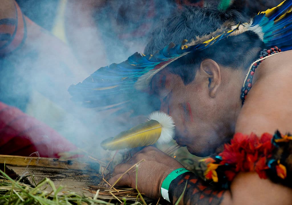 También se solía invocar a Xochiquétzal para obtener belleza, sensualidad, lograr la fertilidad, buen parto y cosecha, conseguir placer sexual, erótico y lograr matrimonios estables, por si tenías curiosidad de otros fines de una ofrenda a esta diosa azteca.