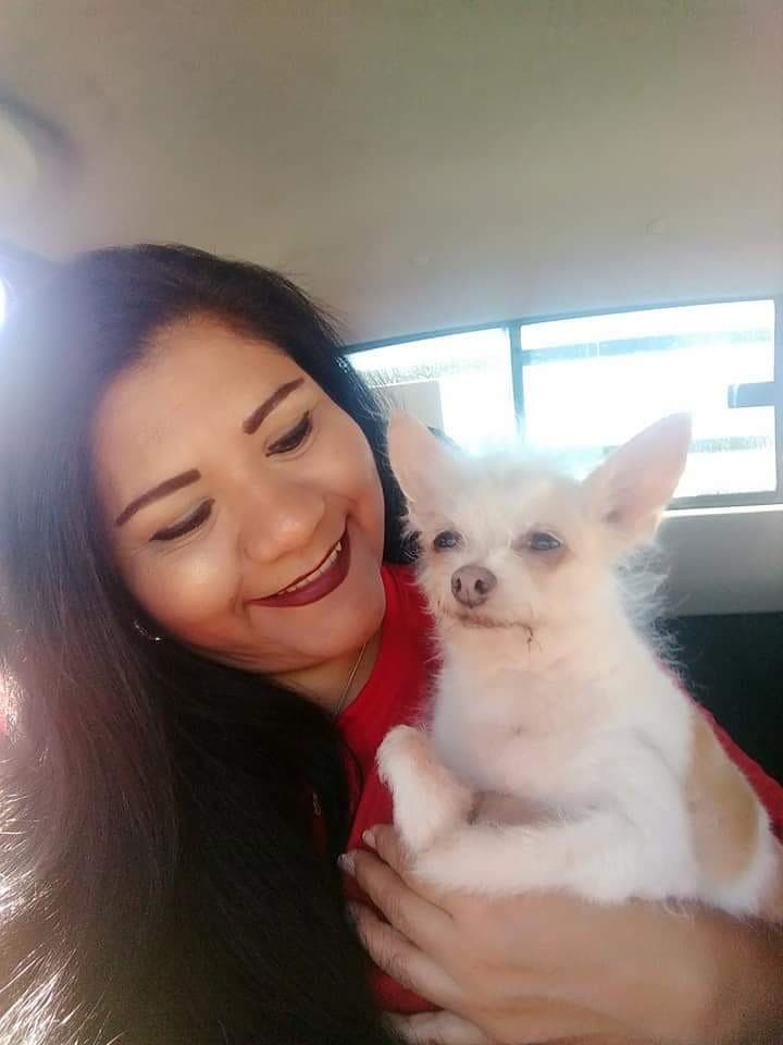 "Louigy acaba de cumplir 16 años y es nuestro hijo perruno...nos enseñó a amar a esos seres sin importar especie, raza, color ni condición ♥️" cuenta Patty López.