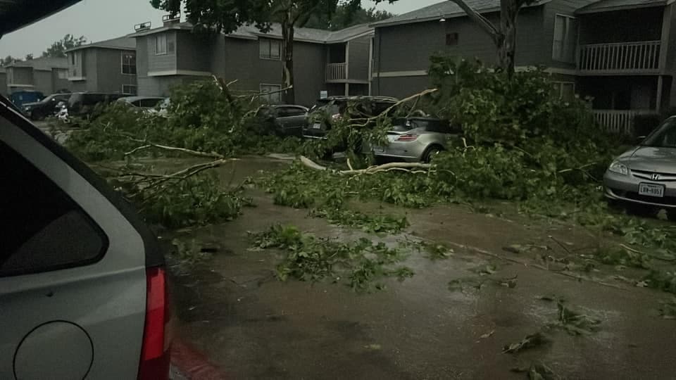 En puntos de Texas, además, se vive una 
<b>ola de calor sofocante</b>, que ha disparado la temperatura hasta los tres dígitos.