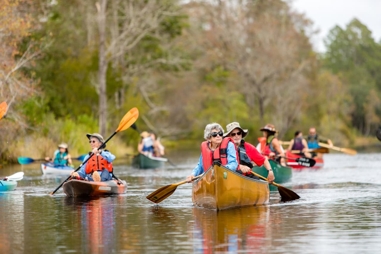 Puedes navegar entre la abundante vida silvestre en un misterioso e impresionante paisaje de aguas reflectantes y hermosos bosques de cipreses cubiertos de musgo español. Una experiencia inolvidable durante la noche, siete refugios y dos islas ofrecen a los visitantes un campamento aislado bajo los cielos más oscuros del estado.